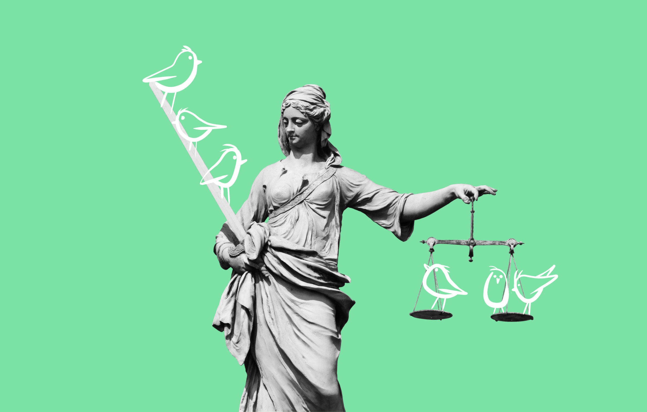 Earth Law Summit key visual 1